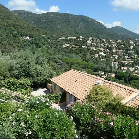 Unptitparadis, Piscine, Jardin, Vue Panoramique Mer, Confort, Calme Cavalaire-sur-Mer
