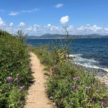 Unptitparadis, Piscine, Jardin, Vue Panoramique Mer, Confort, Calme * Cavalaire-sur-Mer